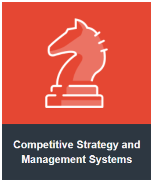 Competitive Strategy and Management Systems